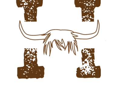 Highland Cow Infographic